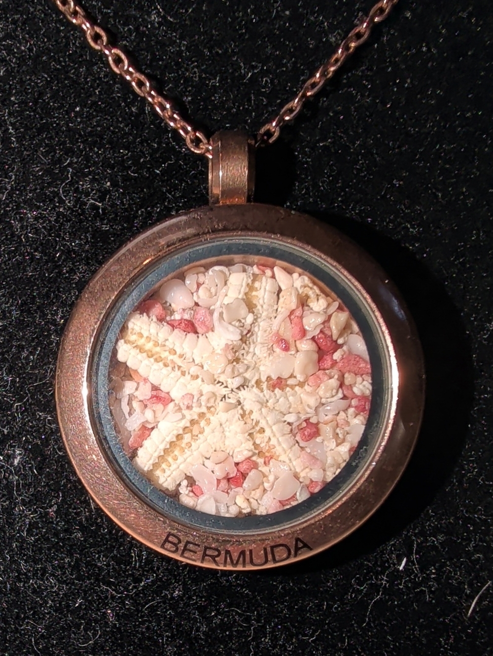 (#345) Bermuda Pink Sand/Starfish Floating Memory Locket Necklace/Rose Gold Tone